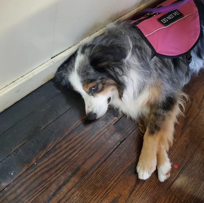 Cumberland Animal Hospital Picture 9