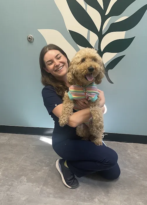 Apollo Veterinary Wimberley Picture 10