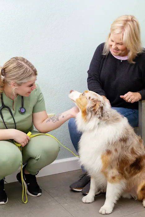 Wimberley Veterinary Clinic Picture 7