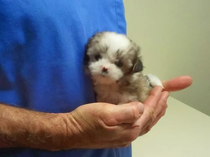 Wimberley Veterinary Clinic Picture 5