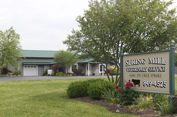 Spring Mill Veterinary Service Picture 9