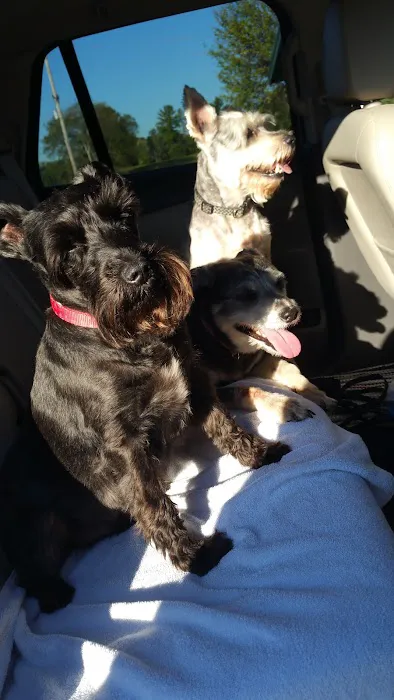 Rusch Jerry DVM Picture 1