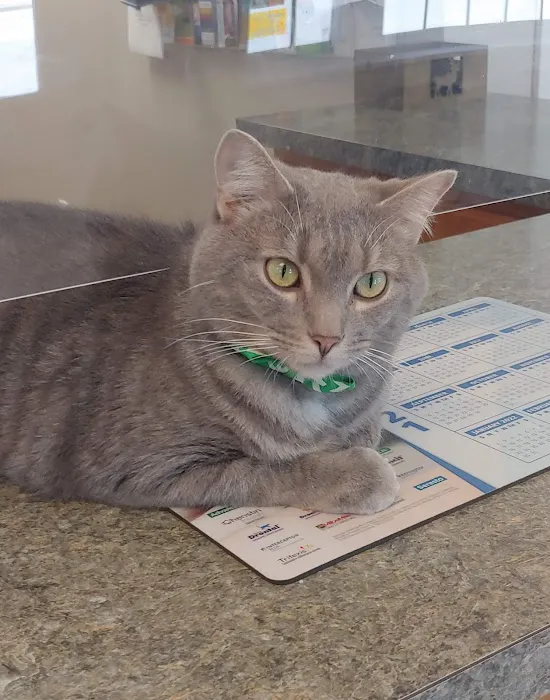 Kirk Veterinary Service Picture 4