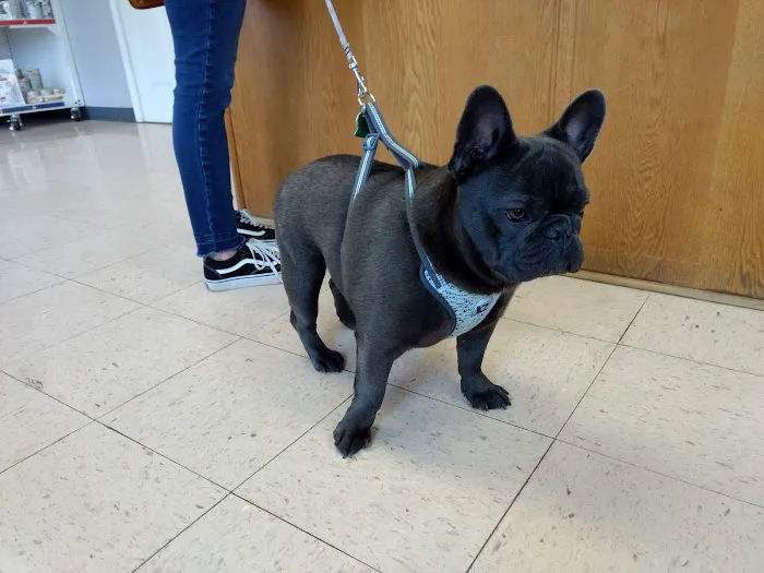 Kirk Veterinary Service Picture 1