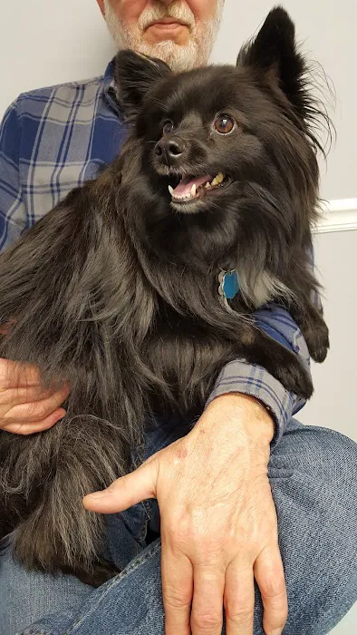 Kirk Veterinary Service Picture 9