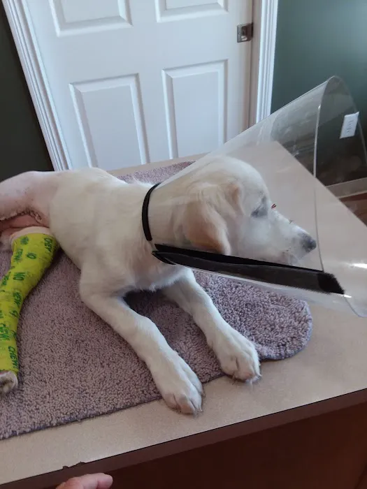 Orange County Animal Clinic Picture 1