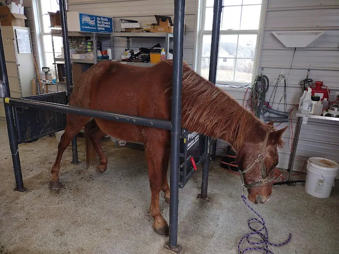Orange County Animal Clinic Picture 3