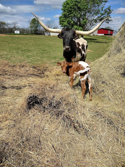 Orange County Animal Clinic Picture 5