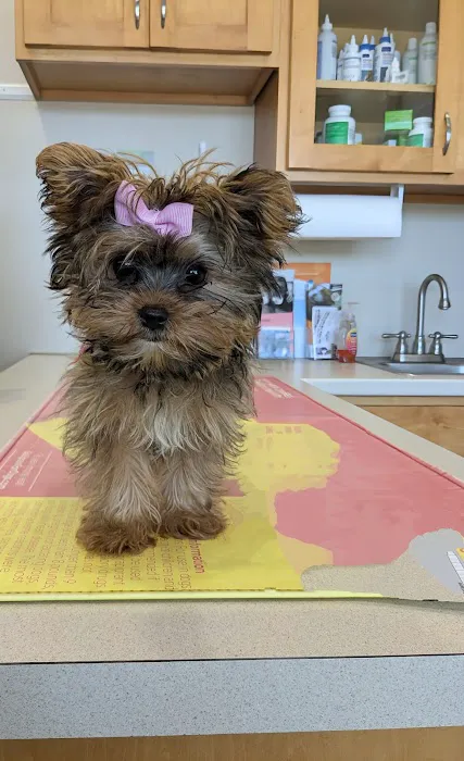 Orange County Animal Clinic Picture 7