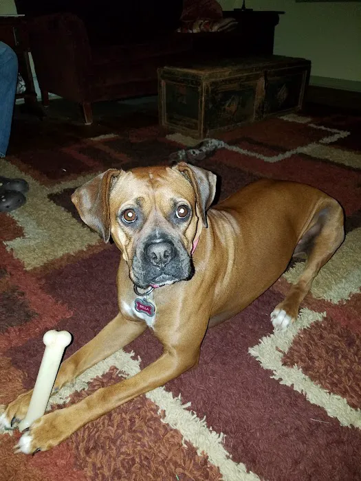 Orange County Animal Clinic Picture 8