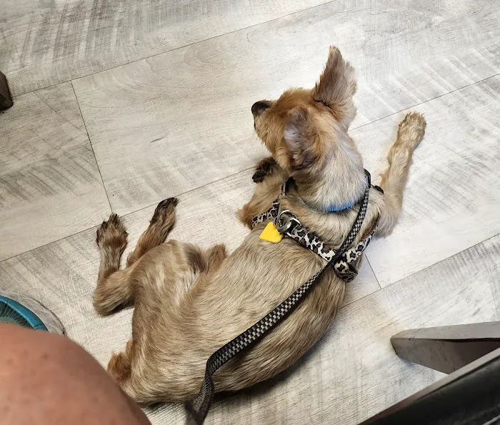 Lawrence County Animal Hospital Picture 4