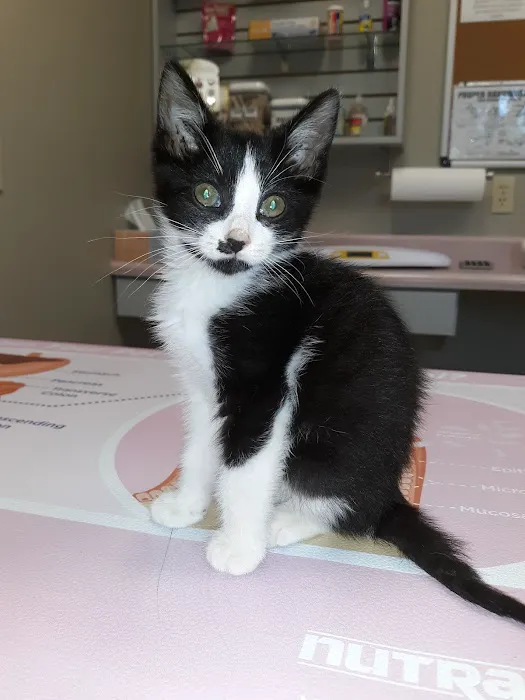 Lawrence County Animal Hospital Picture 8