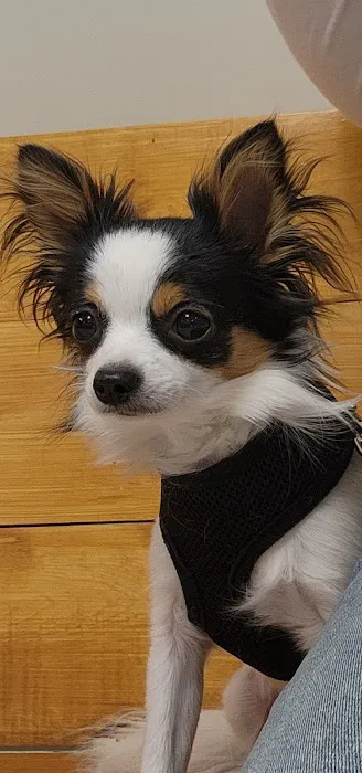Princeton Veterinary Hospital Picture 3