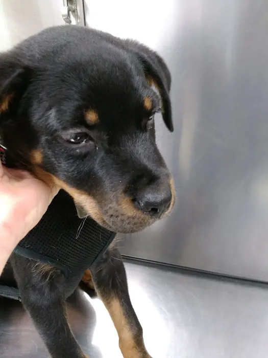 Princeton Veterinary Hospital Picture 5