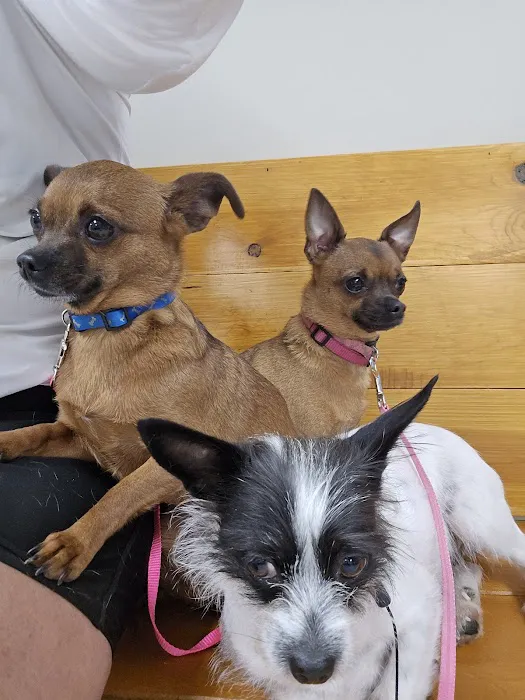Princeton Veterinary Hospital Picture 6