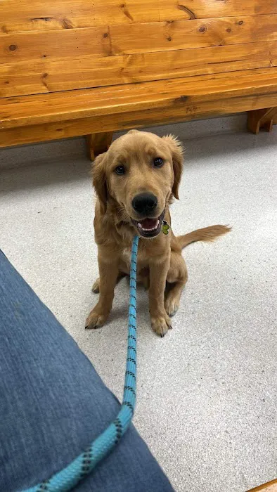 Princeton Veterinary Hospital Picture 4