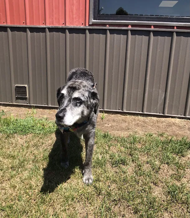 County Seat Veterinary Hospital Picture 8