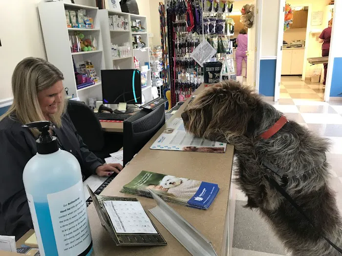 County Seat Veterinary Hospital Picture 9