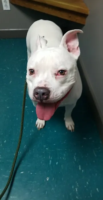 Dubois County Animal Hospital Picture 4