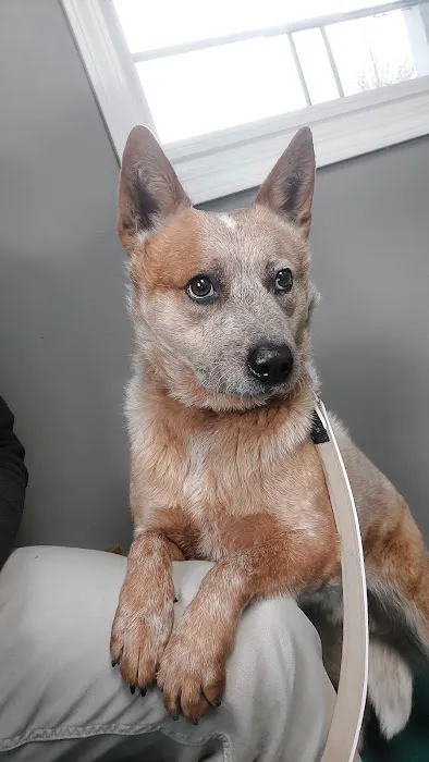 Dubois County Animal Hospital Picture 6