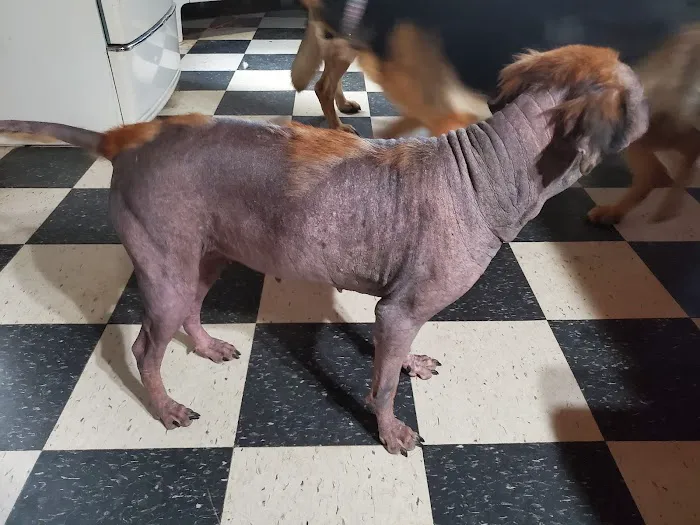 Dubois County Animal Hospital Picture 5