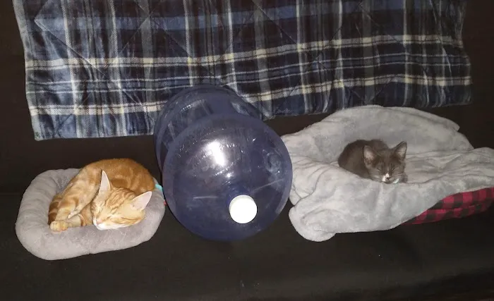 Madison Animal Clinic Picture 2