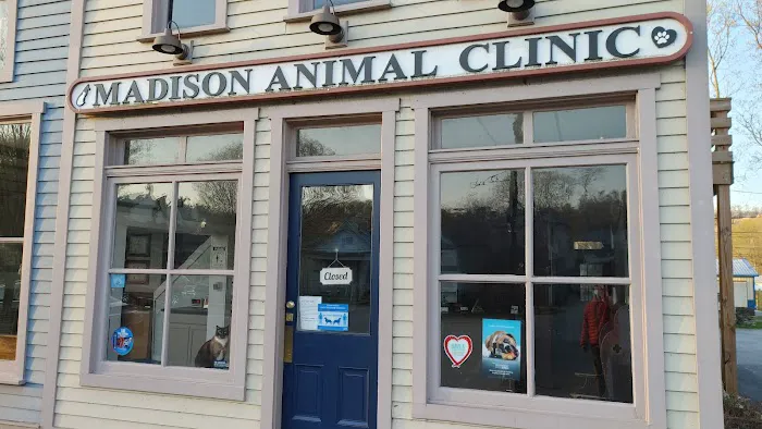 Madison Animal Clinic Picture 7