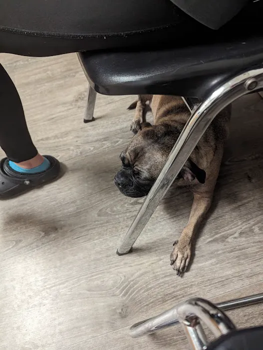 Carroll County Animal Clinic Picture 3