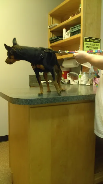 Carroll County Animal Clinic Picture 5