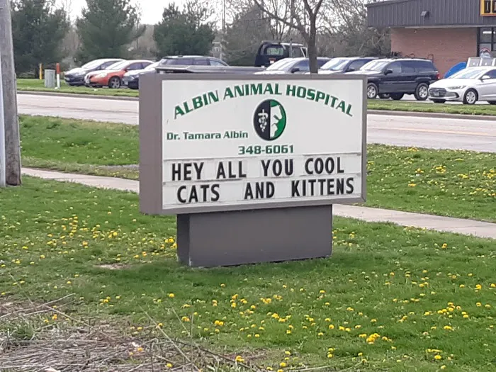 Albin Animal Hospital of Charleston Picture 3