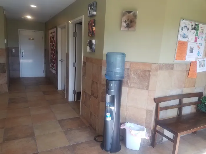 Albin Animal Hospital of Charleston Picture 1