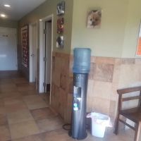 Albin Animal Hospital of Charleston ico