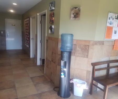 Albin Animal Hospital of Charleston