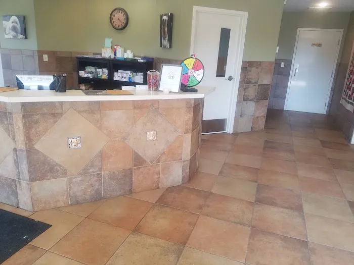 Albin Animal Hospital of Charleston Picture 8