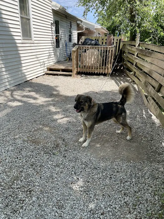 Albin Animal Hospital of Charleston Picture 10