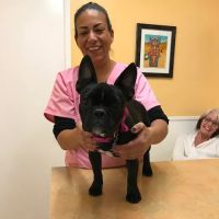Laurelwood Veterinary Clinic ico
