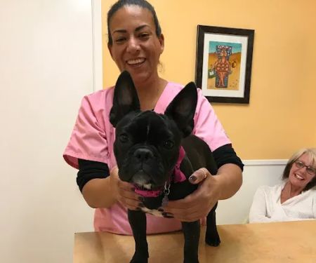 Laurelwood Veterinary Clinic