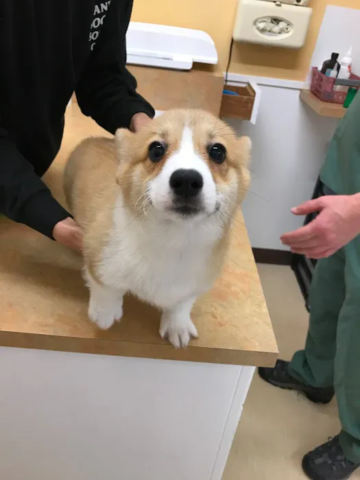 Laurelwood Veterinary Clinic Picture 10