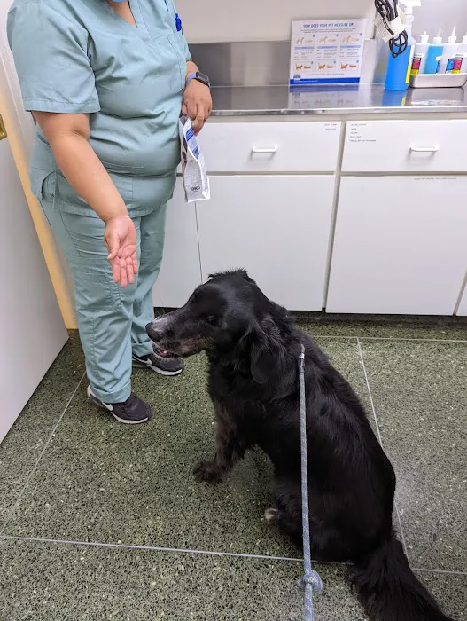 Belmont Pet Hospital Picture 6