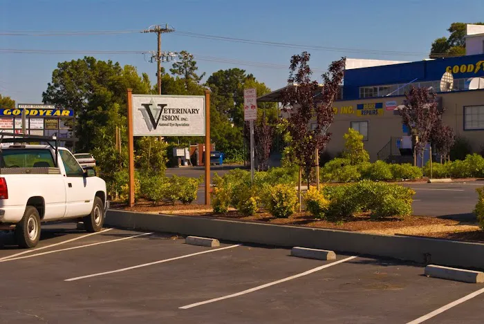 Veterinary Vision Animal Eye Specialists Picture 10