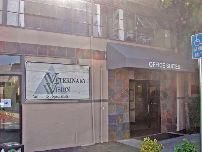 Veterinary Vision Animal Eye Specialists Picture 9