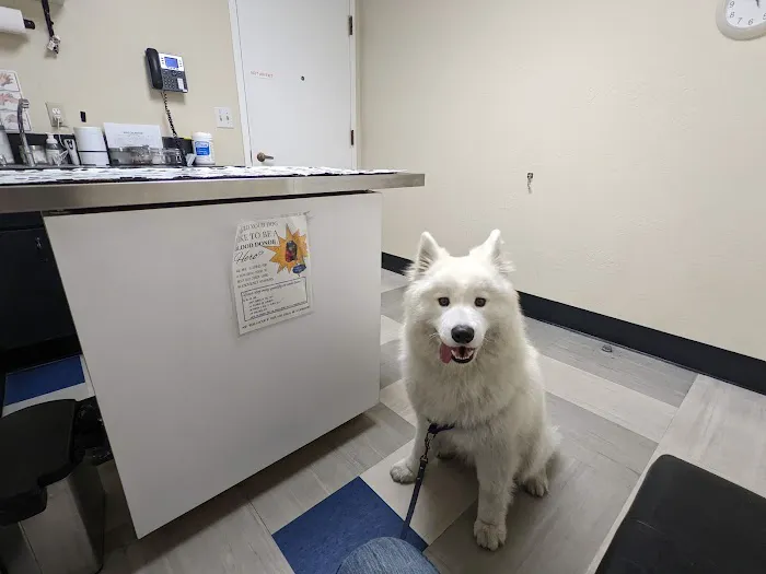 Sequoia Veterinary Hospital Picture 1