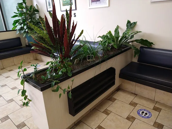 Sequoia Veterinary Hospital Picture 7