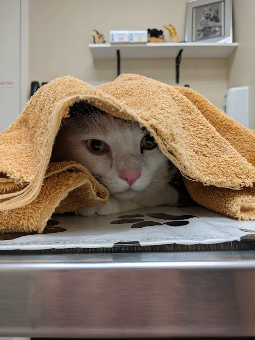 Sequoia Veterinary Hospital Picture 8
