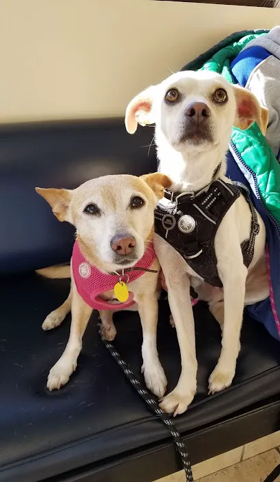 Sequoia Veterinary Hospital Picture 6