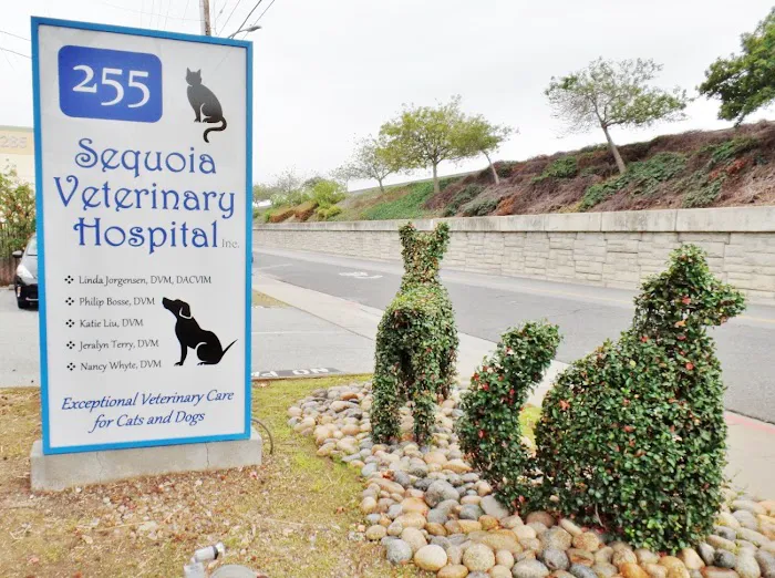 Sequoia Veterinary Hospital Picture 10