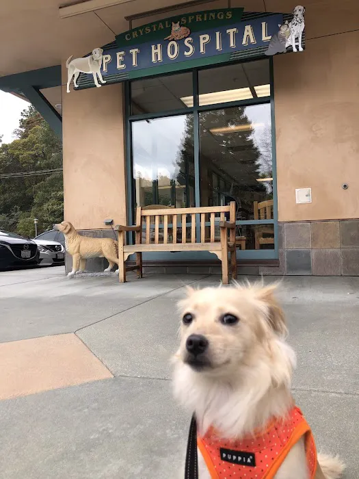 Crystal Springs Pet Hospital Picture 3
