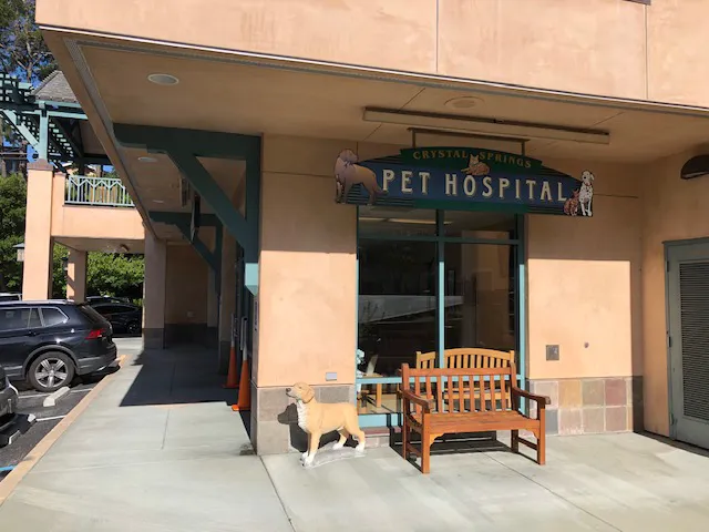 Crystal Springs Pet Hospital Picture 6