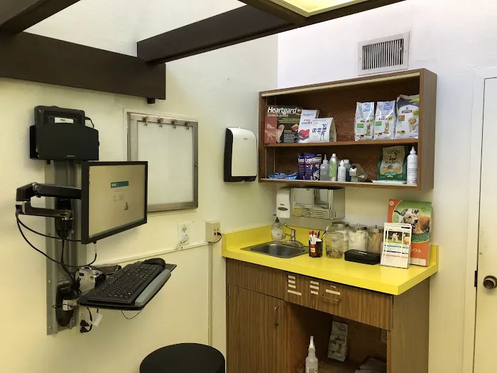 VCA San Carlos Animal Hospital Picture 4