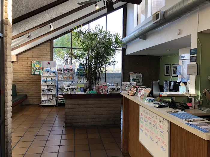VCA San Carlos Animal Hospital Picture 7